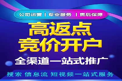 百度竞价推广在电商领域的赚钱案例
